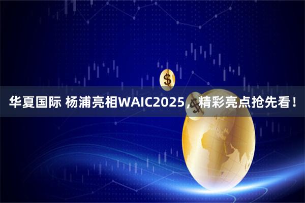 华夏国际 杨浦亮相WAIC2025，精彩亮点抢先看！