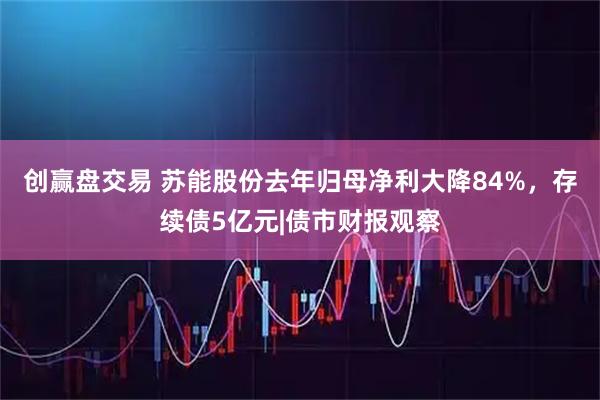创赢盘交易 苏能股份去年归母净利大降84%，存续债5亿元|债市财报观察