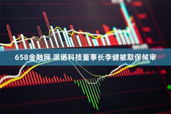 658金融网 派诺科技董事长李健被取保候审